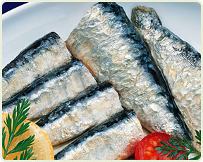 Sardinas / Sardinillas