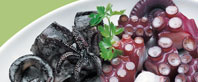 Pulpo / Calamares