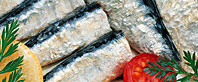 Sardinas / Sardinillas